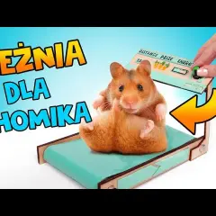Jak zrobic bieżnie w domu - proste kroki i niezbędne materiały