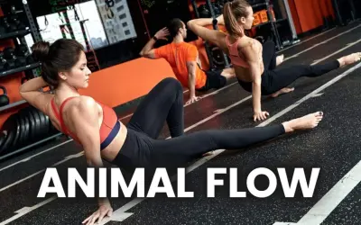 Trzy osoby ćwiczą w siłowni, wykonując ruchy inspirowane **animal flow**.