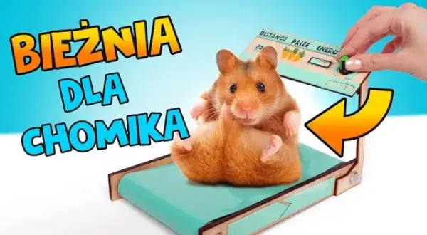 Jak zrobic bieżnie w domu - proste kroki i niezbędne materiały