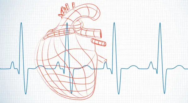 Szkic serca na tle EKG. Zastanawiasz się, hrv co to jest? To wskaźnik zmienności rytmu serca.