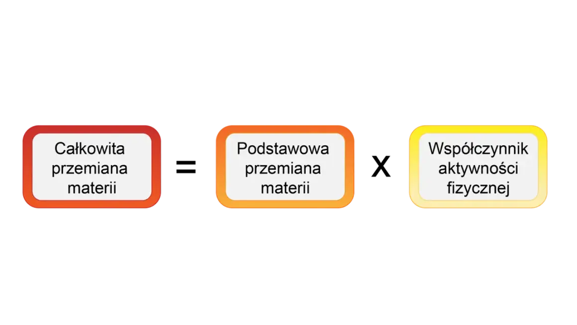 Diagram przedstawia: Całkowita przemiana materii, Podstawowa przemiana materii, Współczynnik aktywności fizycznej. To wyjaśnia, cpm co to.